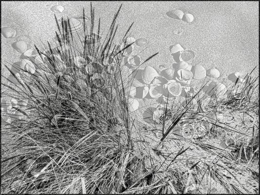 ERINNERUNG AN EINEN SCHÖNEN SOMMER..