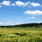 Erinnerung an einen schönen Sommer