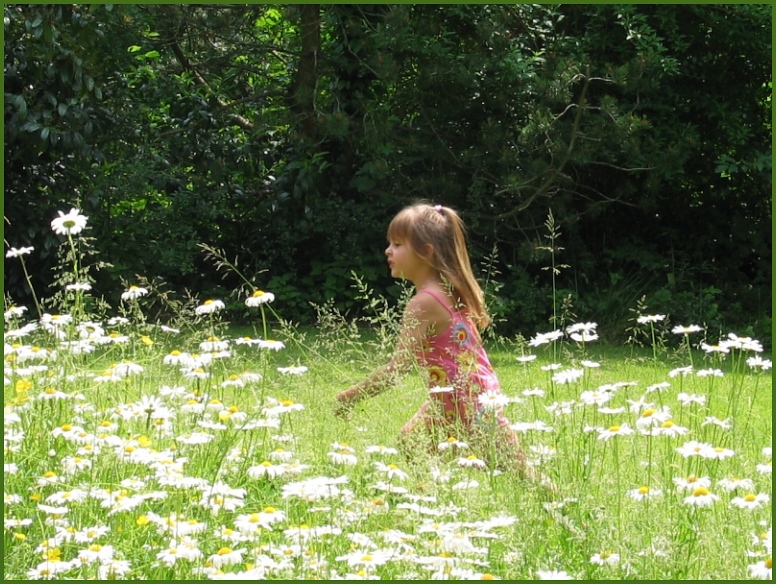 Erinnerung an einen Sommertag