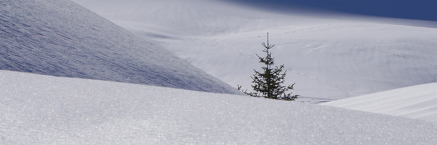 Erinnerung an einen Traumwinter