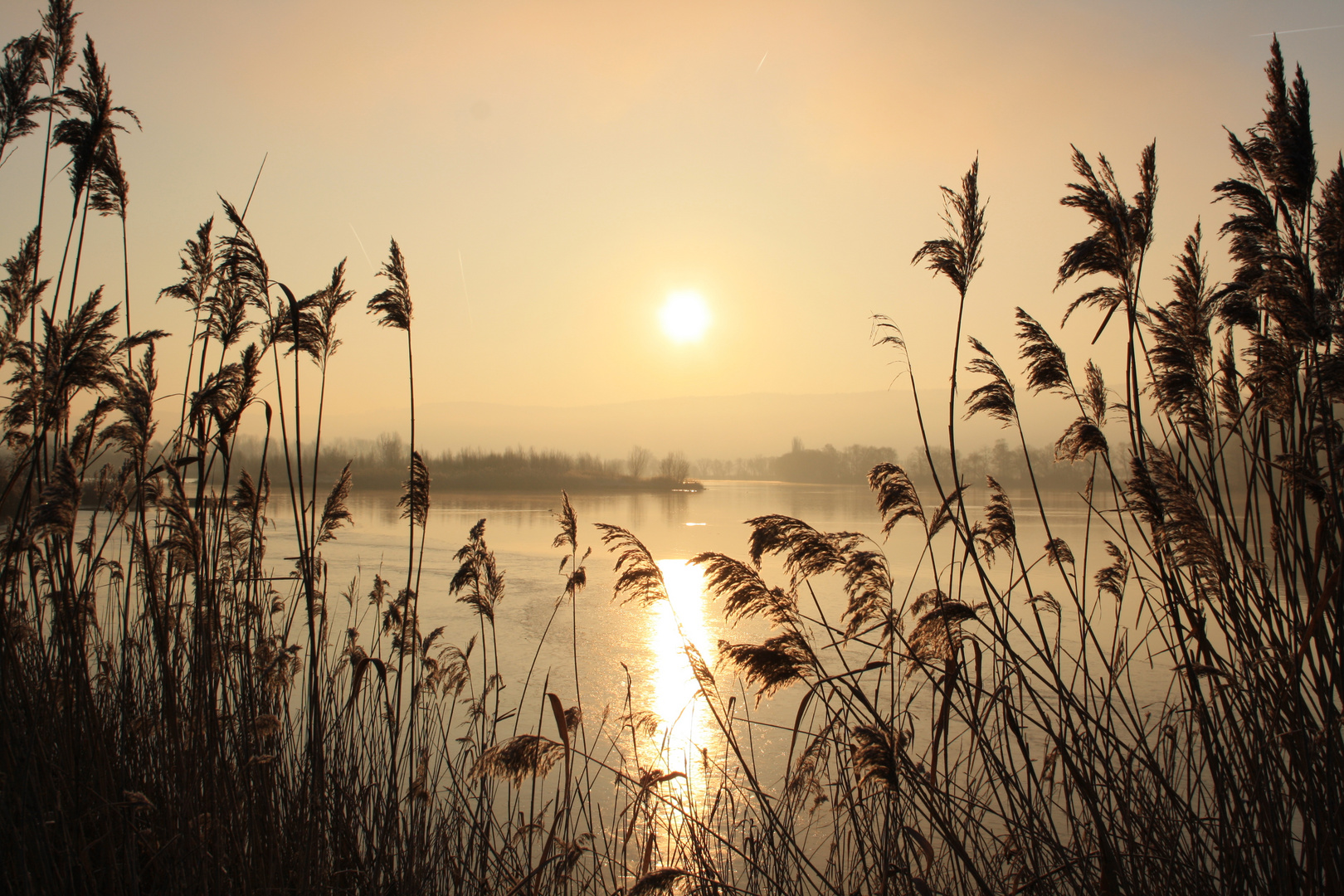 Erinnerung an einen Wintermorgen am See