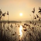 Erinnerung an einen Wintermorgen am See