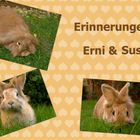 Erinnerung an Erni und Susi (2000-2007)