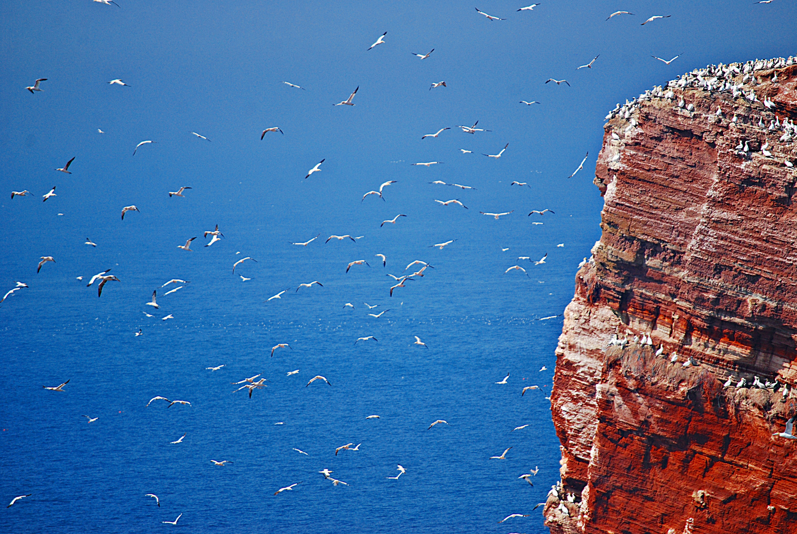 Erinnerung an Helgoland... 1