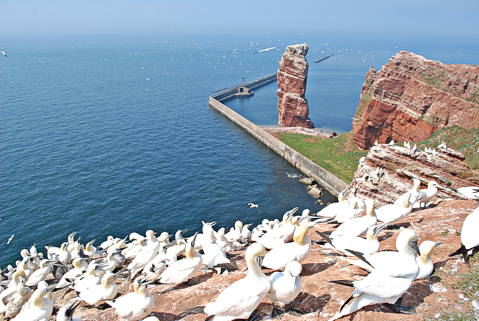 Erinnerung an Helgoland... 4