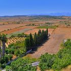 Erinnerung an mein schönes Mallorca, Landschaft bei Santa Margalida