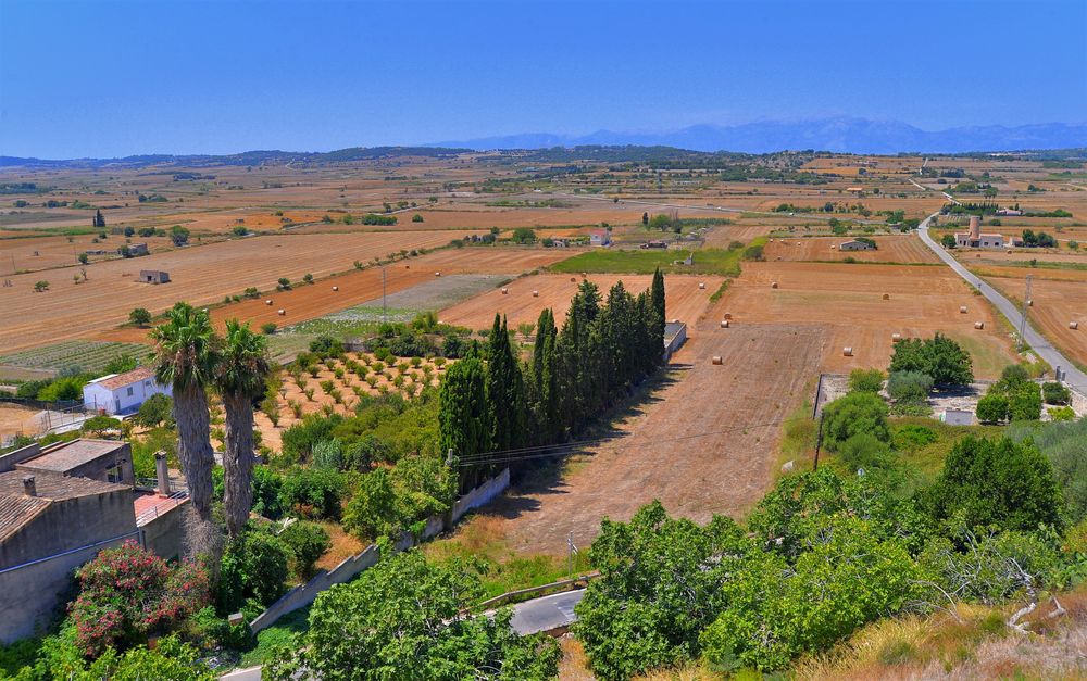 Erinnerung an mein schönes Mallorca, Landschaft bei Santa Margalida