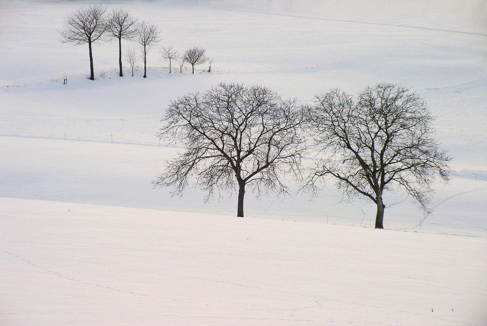 Erinnerung an Schnee