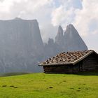 Erinnerung an schöne Tage im September