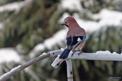 Erinnerung an schöne Wintertage