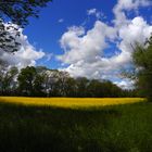 Erinnerung an schönere Tage