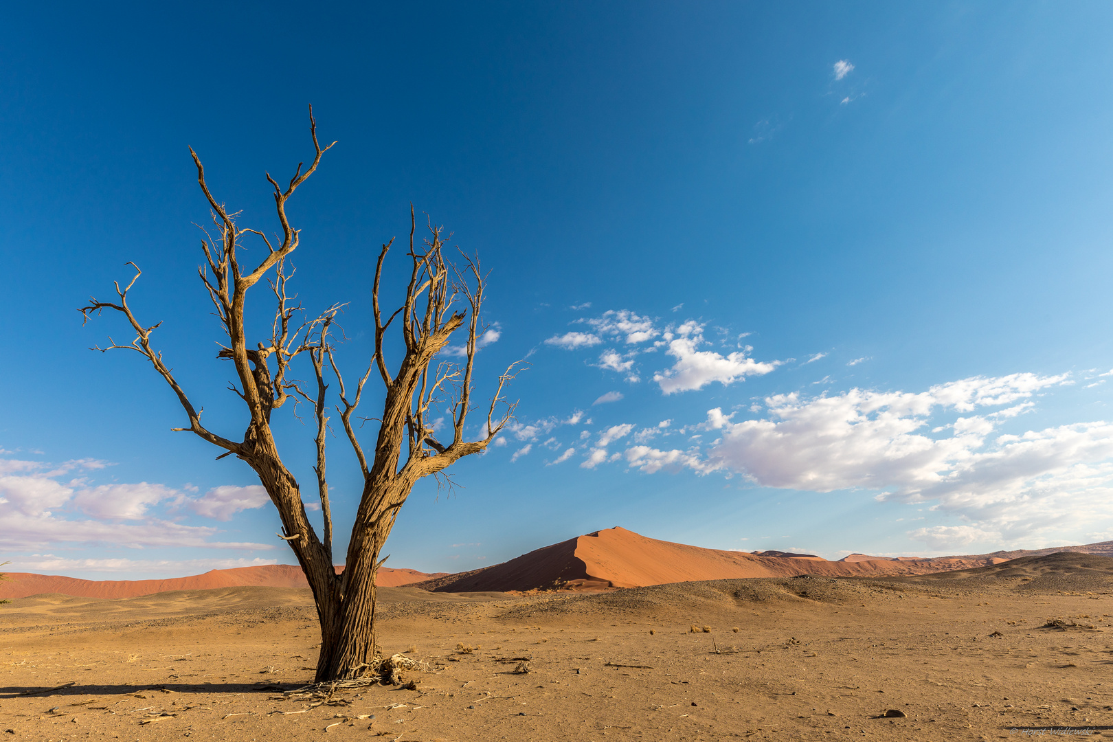 Erinnerung an Sossusvlei