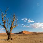 Erinnerung an Sossusvlei