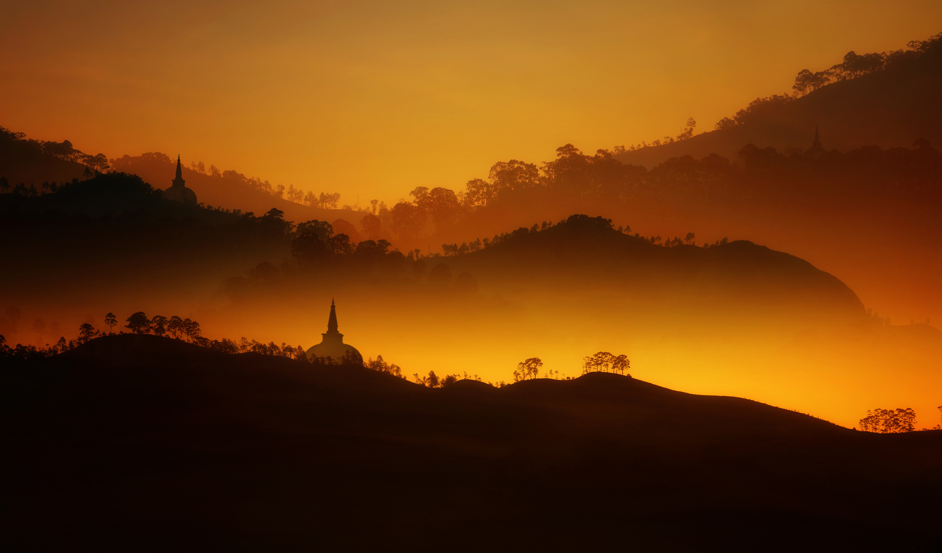 Erinnerung an Sri Lanka