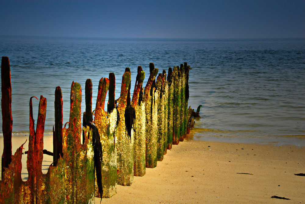 Erinnerung an Sylt