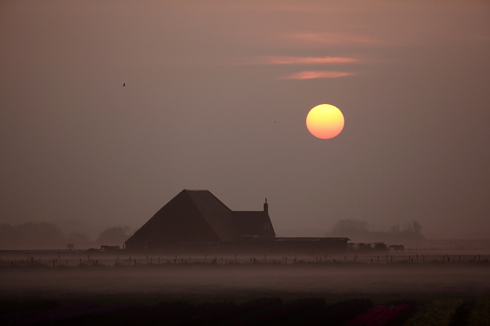 Erinnerung an Texel III