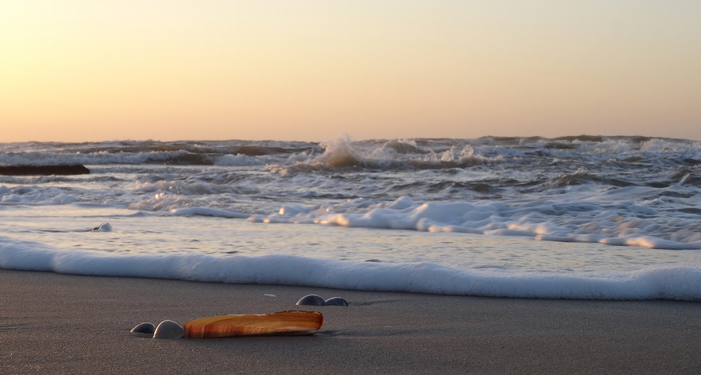 Erinnerung an Texel VIII