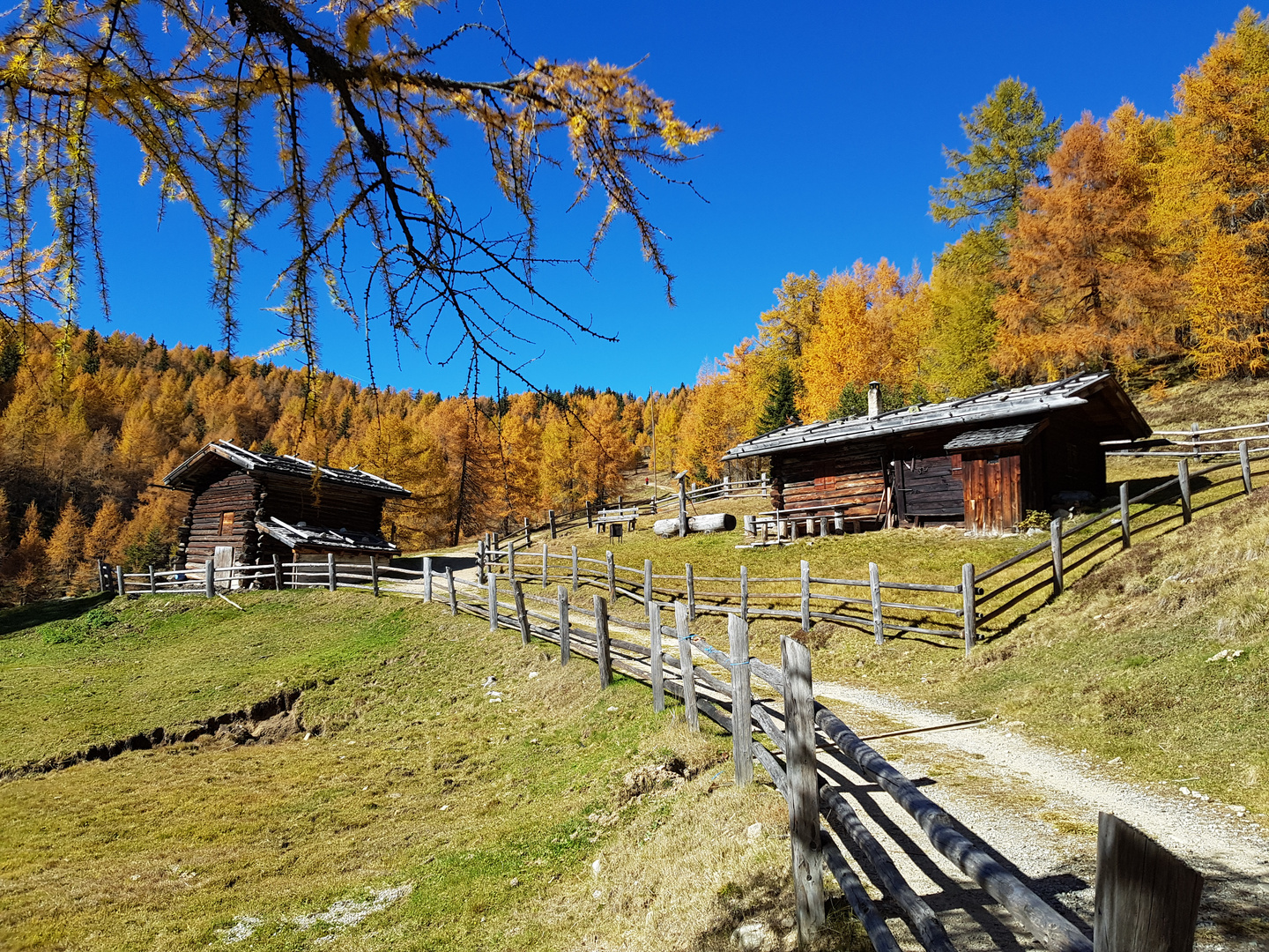 ... Erinnerung an tolle Herbsttage ...