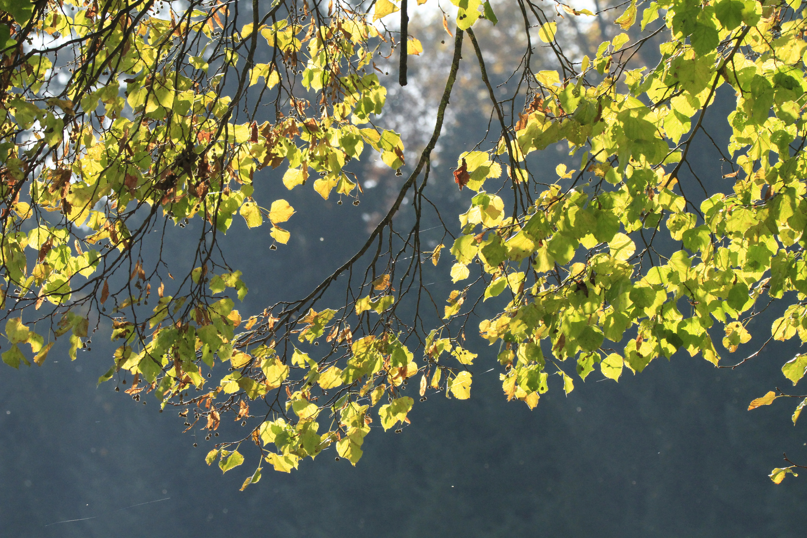 Erinnerung ans Licht