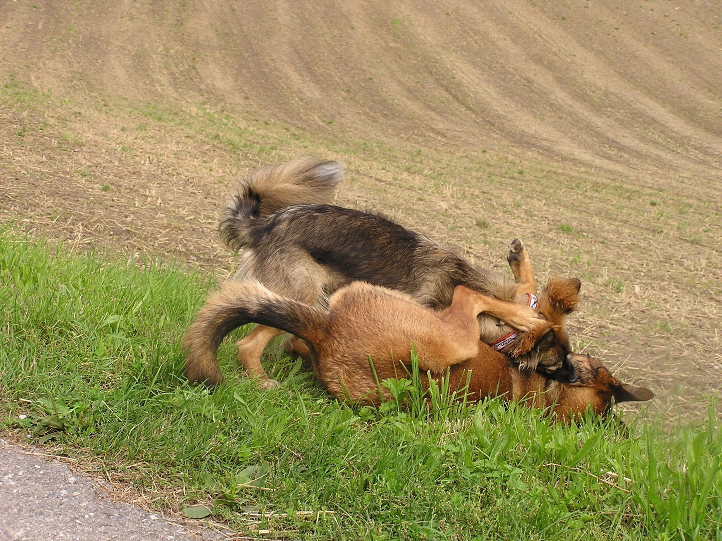 Erinnerung