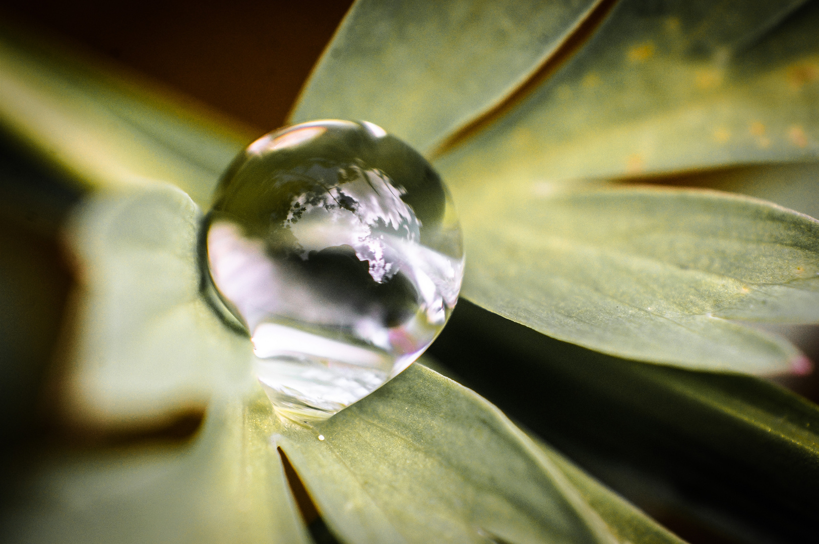 Erinnerung im Wasser