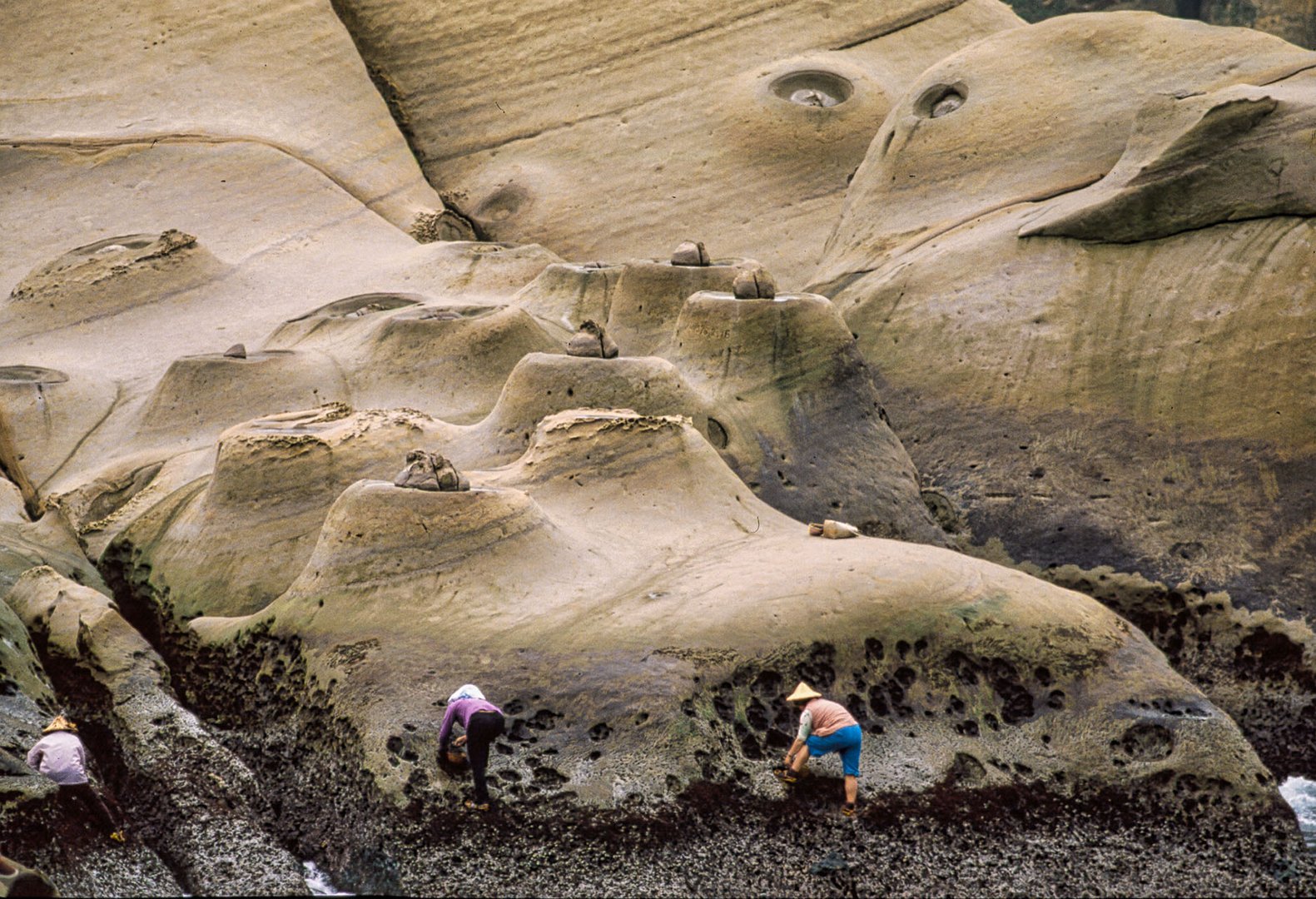 Erinnerungen 26: Muschelsammlerinnen, Taiwan, 1980