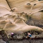 Erinnerungen 26: Muschelsammlerinnen, Taiwan, 1980