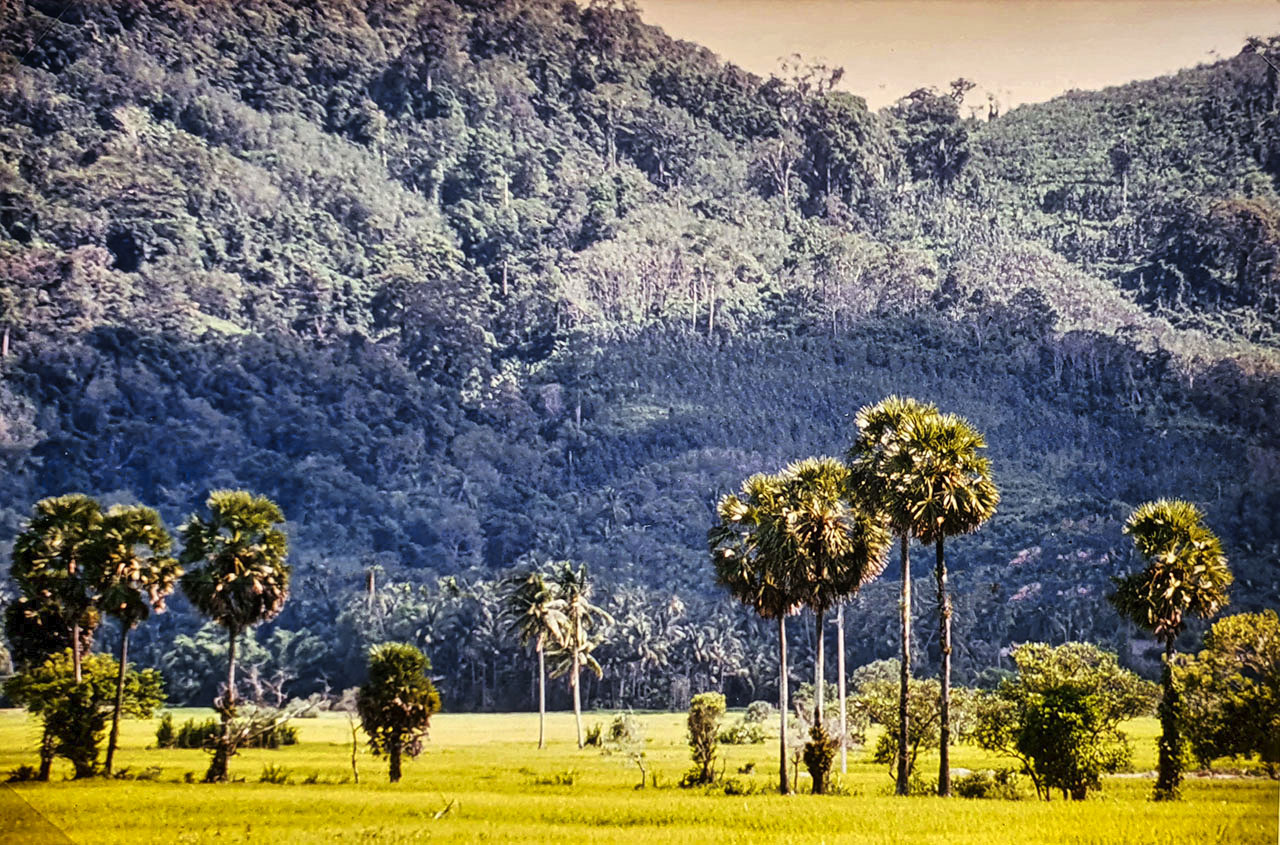 Erinnerungen 33: Patong, Phuket, Thailand, 1981