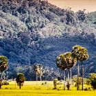 Erinnerungen 33: Patong, Phuket, Thailand, 1981