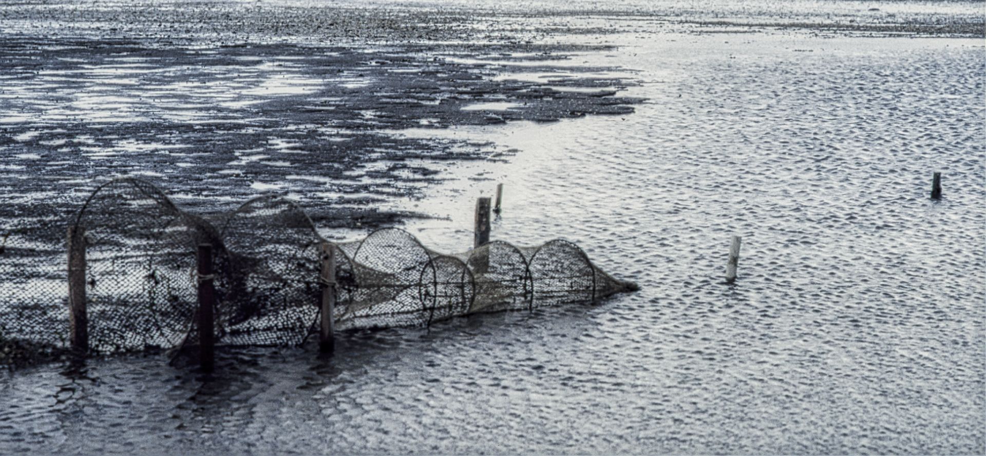 Erinnerungen 41: Nordsee, 1983