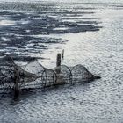 Erinnerungen 41: Nordsee, 1983