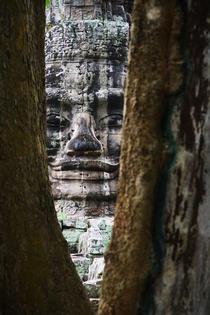 Erinnerungen an Angkor
