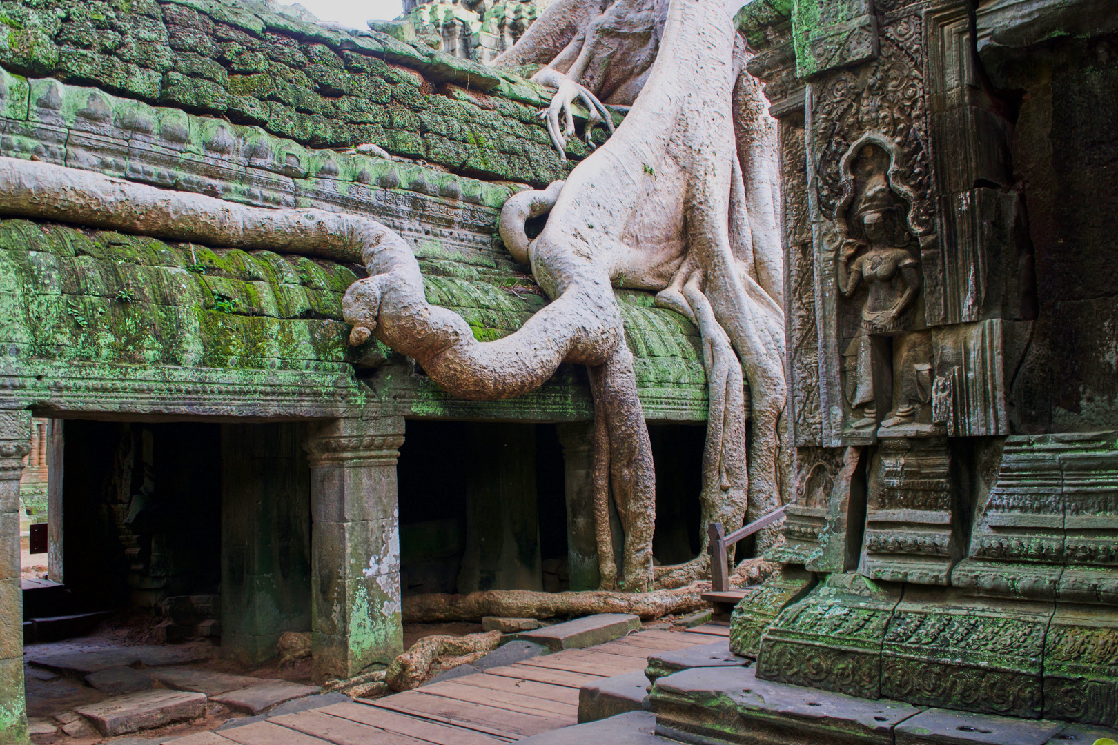 Erinnerungen an Angkor