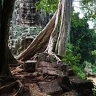 Erinnerungen an Angkor