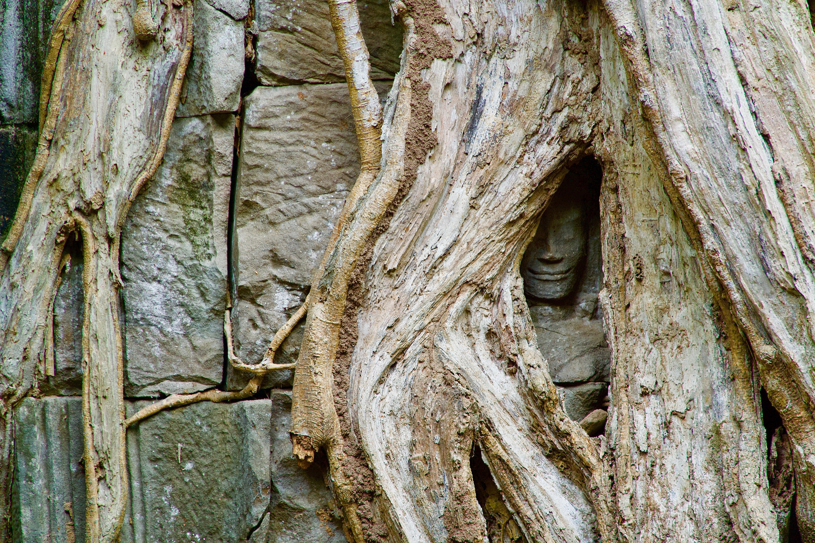 Erinnerungen an Angkor