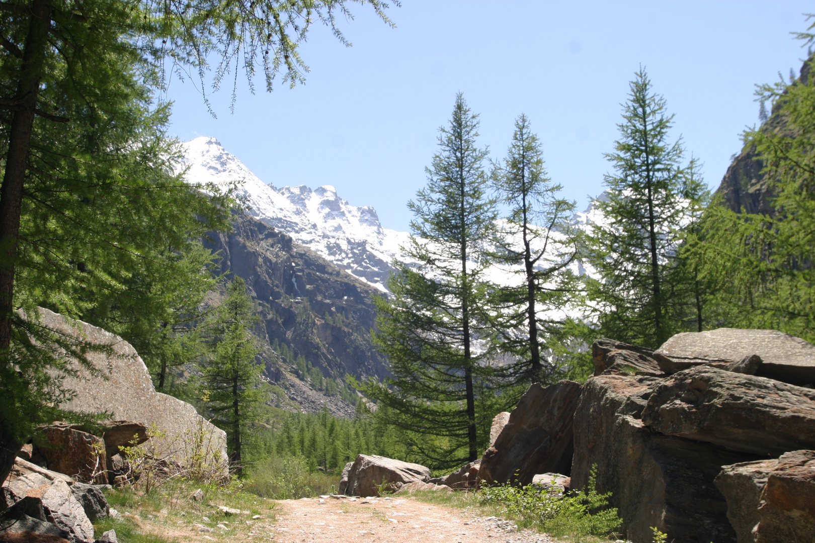 Erinnerungen an das Gran Paradiso