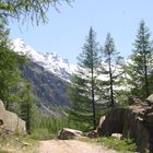 Erinnerungen an das Gran Paradiso