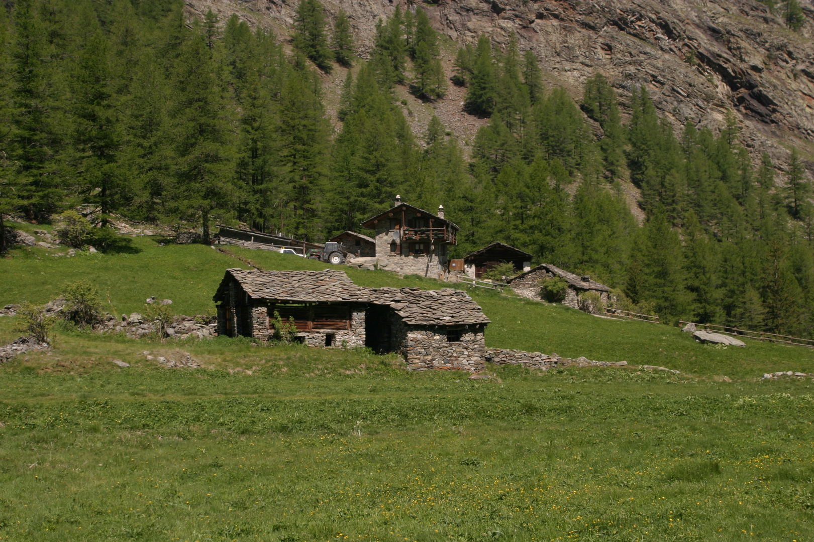 Erinnerungen an das Gran Paradiso