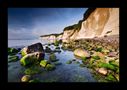 Nationalpark Jasmund - Buchen, Moore und Kreidefelsen