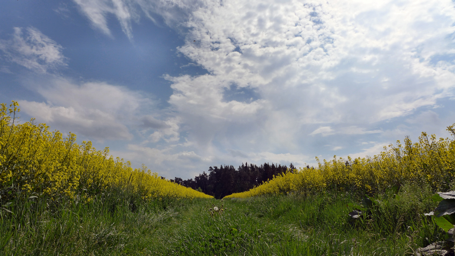 Erinnerungen an den Frühling