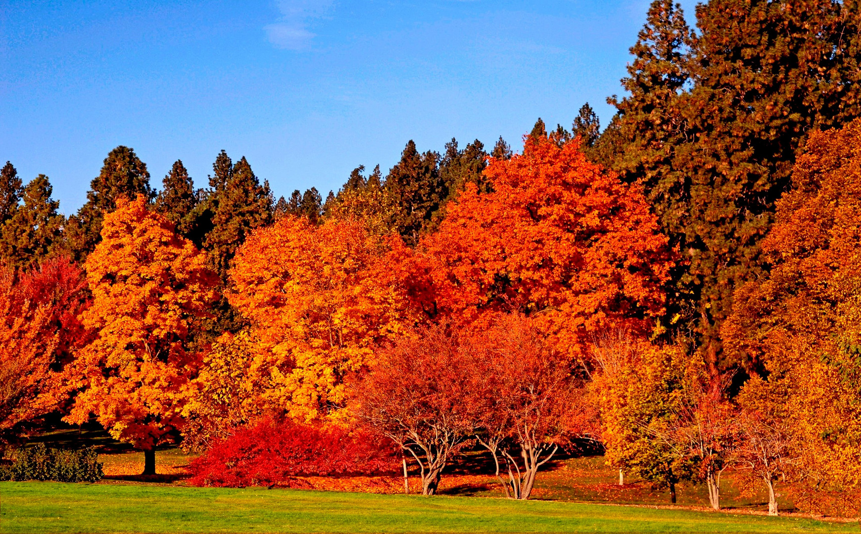 Erinnerungen an den Herbst 1