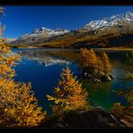 Erinnerungen an den Herbst