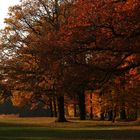 Erinnerungen an den Herbst