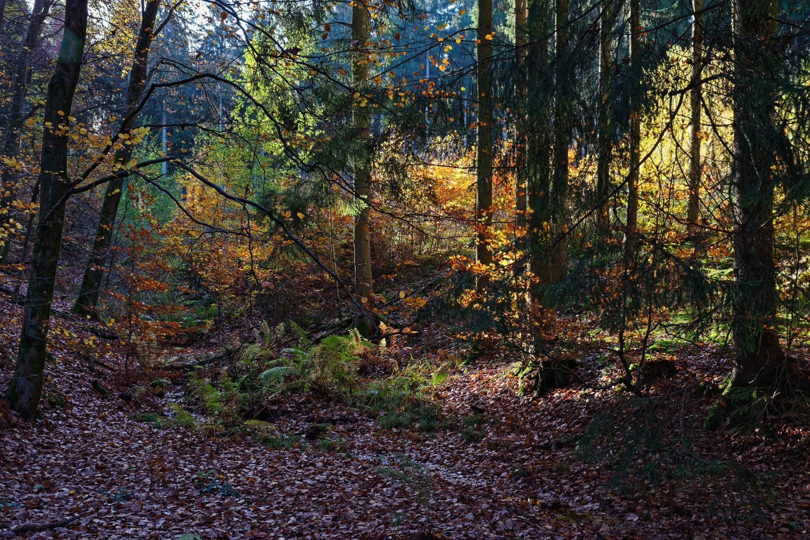 Erinnerungen an den Herbst 2020