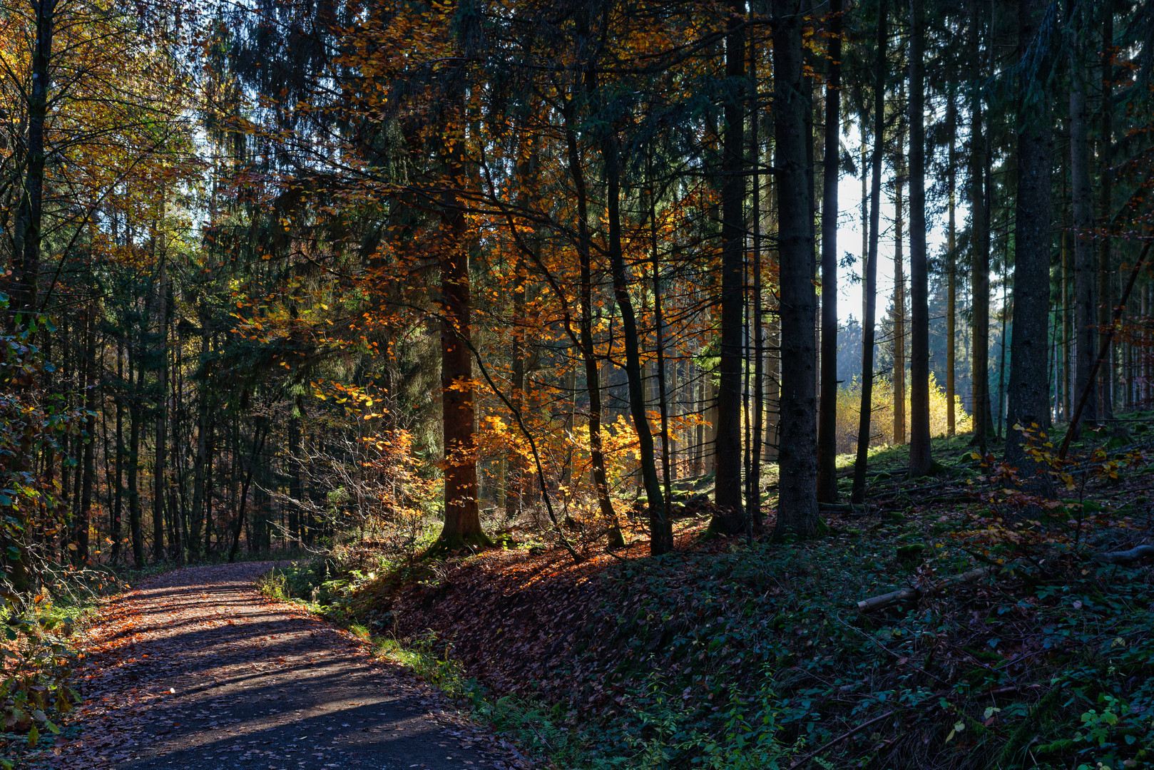 Erinnerungen an den Herbst 2020  (2)