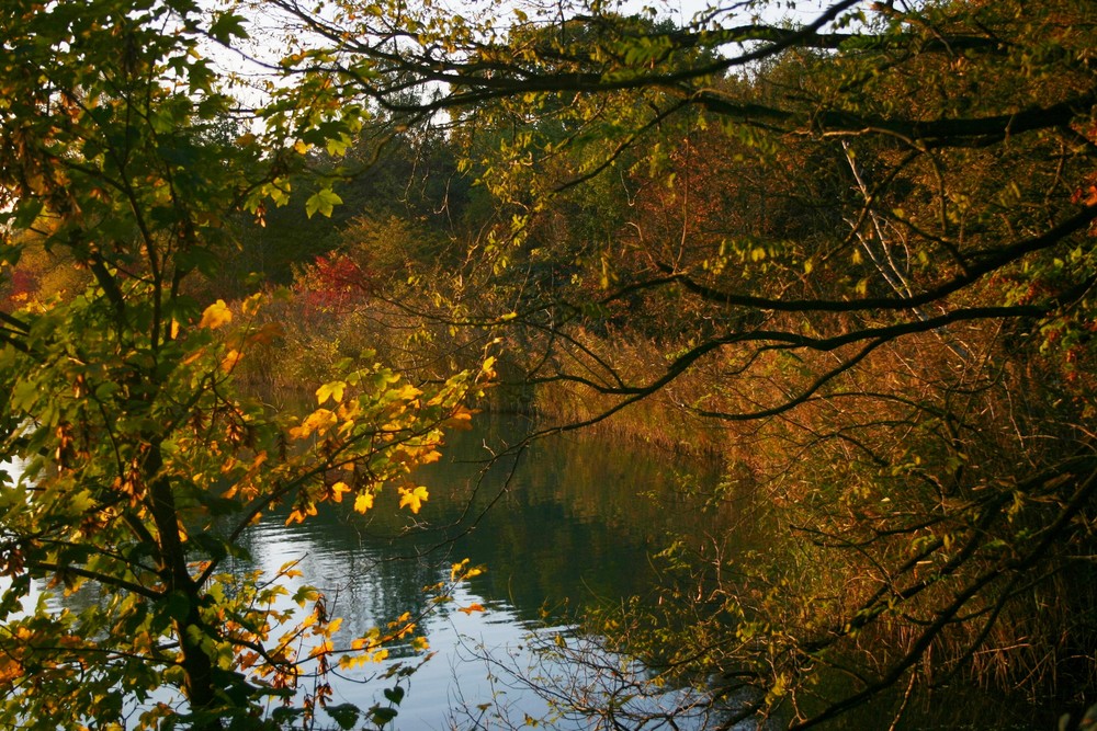 Erinnerungen an den Herbst...