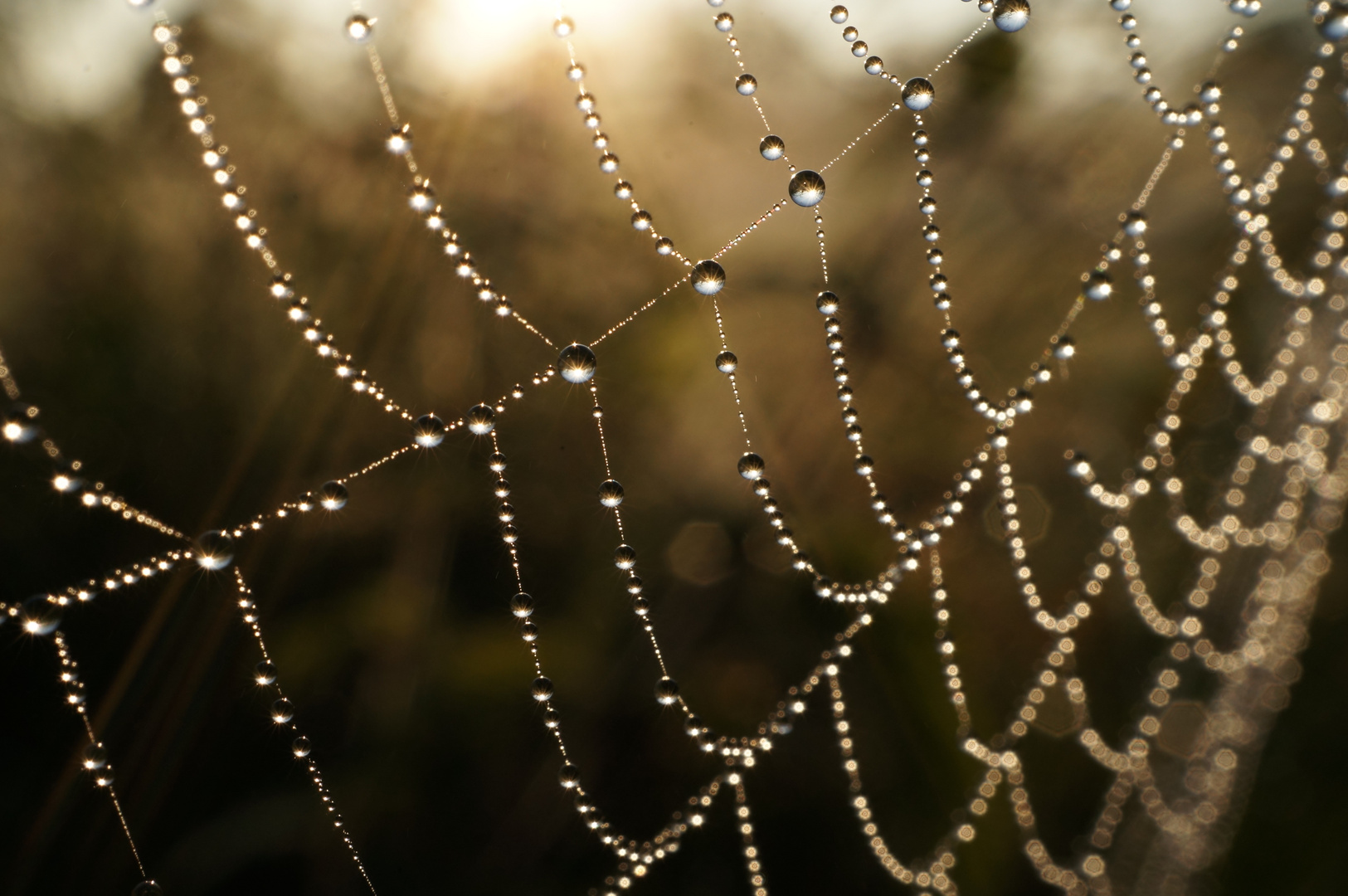 Erinnerungen an den Herbst