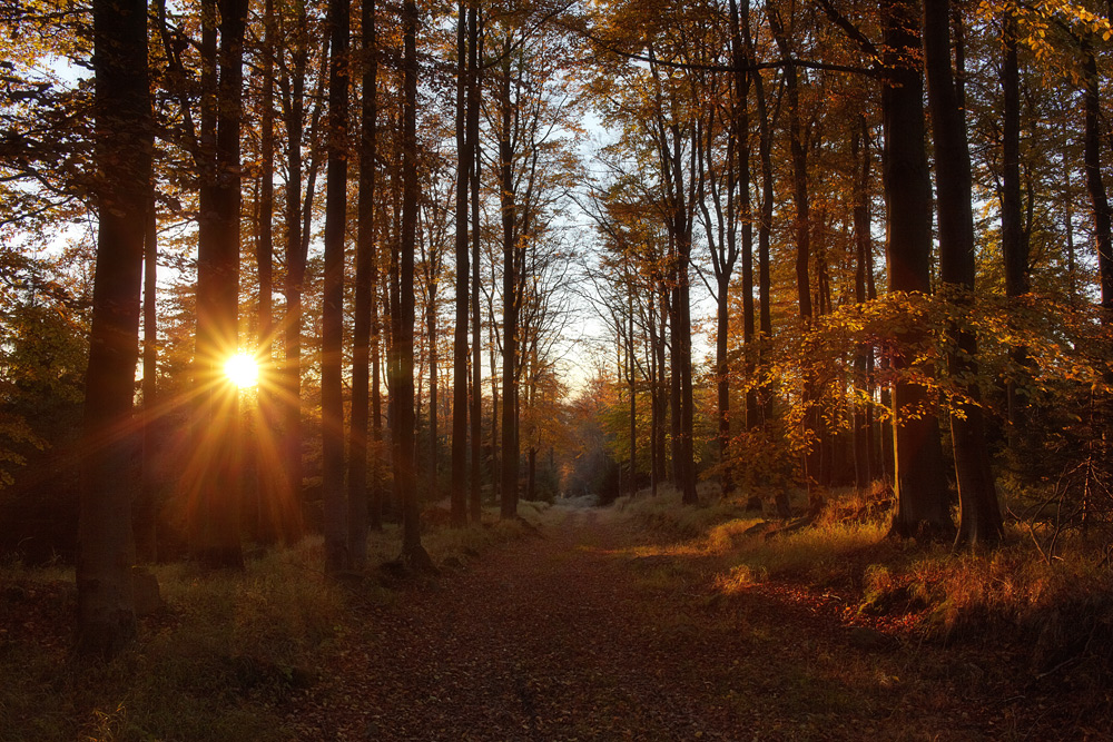 Erinnerungen an den Herbst