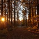 Erinnerungen an den Herbst