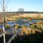 Erinnerungen an den Herbst